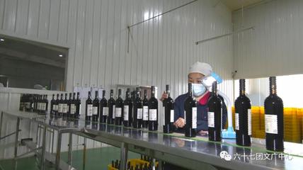 六十七團:延伸釀酒葡萄全產業(yè)&ldquo;鏈動&rdquo;區(qū)域經(jīng)濟大發(fā)展