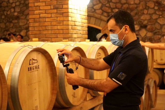 中外媒體走進寧夏,在這里看到葡萄酒的&ldquo;前世今生&rdquo;