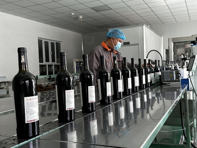 小樹莓變身大產(chǎn)業(yè) 伊寧市推動特色林果業(yè)向優(yōu)質(zhì)高效發(fā)展