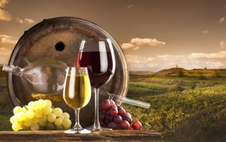 檢驗(yàn)檢疫部門提醒葡萄酒進(jìn)口商關(guān)注添加劑安全