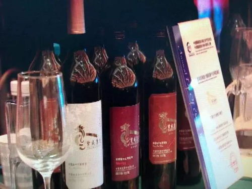 青銅峽葡萄酒 目標(biāo)年產(chǎn)值200億元，讓世界為之傾倒的東方佳釀