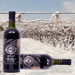 紫隆山紅寶石冰酒 品味時光凝萃，共創(chuàng)財富未來——通化紫隆山葡萄酒廠火熱招商